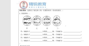 这个图怎么理解？