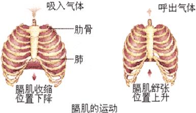 吸气时左侧肋骨下疼吸得越深越痛 脚突然变很臭身体信号