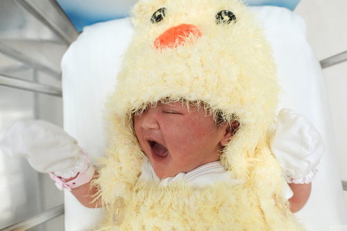 泰国医院为婴儿穿小鸡衣服 迎接鸡年到来 