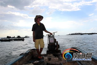 文昌铺前港渔民重建渔排受阻 望优惠政策支持