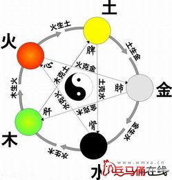 五行属木的&quot;现代&quot;行业有哪些？