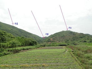 潮州风水名穴卧牛地,王君植大师亲临考察,从古至今富贵不迭 