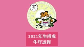 属相虎,2021学业运势