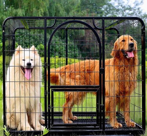 新手养狗 使用狗笼的重要性 和 如何使狗狗适应狗笼 狗笼篇