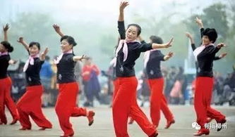 柳州广场舞魅力中国行 厦门土楼站 在旅行中 舞动 飞扬激情 3月专线最高补贴2300元 