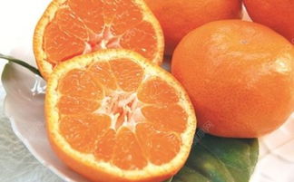 橘子孕妇可以多吃吗 橘子孕妇能不能多吃