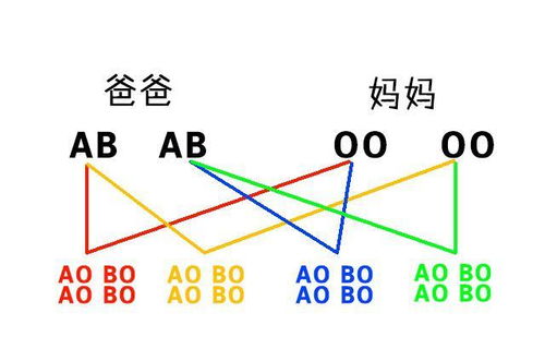 妈妈是O型血,宝宝不会是AB型血,这些血型遗传规律你知道吗