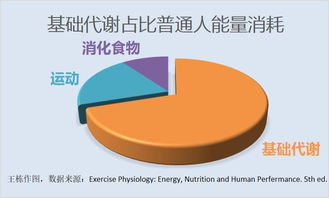 基础代谢率,到底该怎么算 