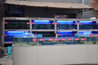 阳光生态园 酒店 活体鱼蟹 水产 养殖区 网上逛街 