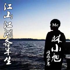 江山江湖各半生 Mc林小旭