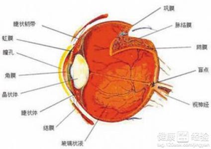 玻璃体混浊的成因有哪些？