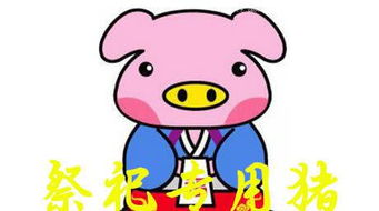 猪年说猪 金猪送福 你知道猪在中国有什么意义吗