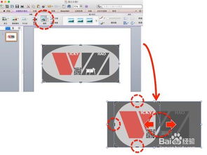 PPT for MAC 如何制作圆形和多边形图片 