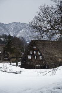 高屋建瓴意境的千古绝唱，高屋建瓴意思的诗句有哪些