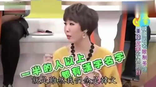 台湾综艺韩国美女在节目中说汉字在韩国很流行 起名都用汉语 