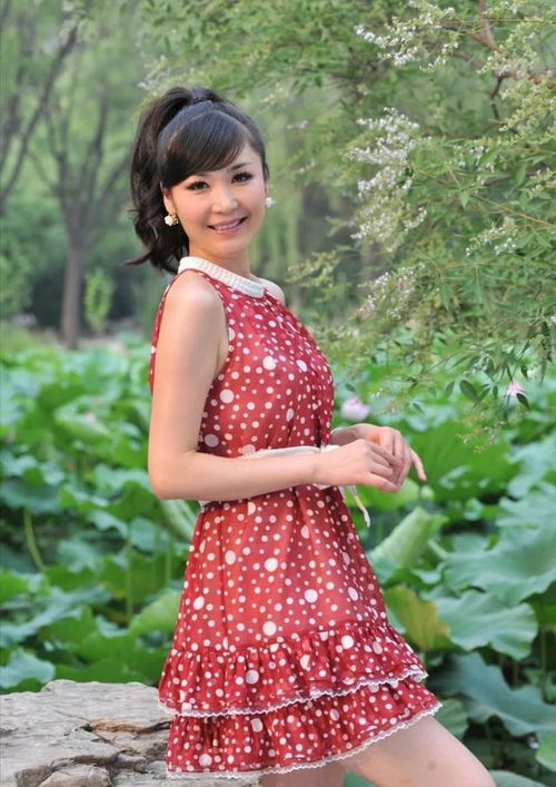 山东卫视美女主持人 杨蕊