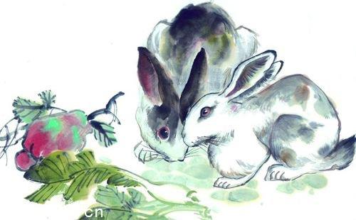 生肖兔在2019年农历四月月份运势盘点,生肖兔生于农历四月的运势