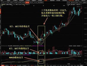 谁看得懂这个股票选股公式的？急~