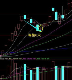 强势股第一波上涨一般回调百分之多少