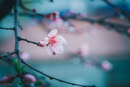 三月初五, 阴天下雨刮大风 是啥预兆 看看老祖宗的谚语怎么说