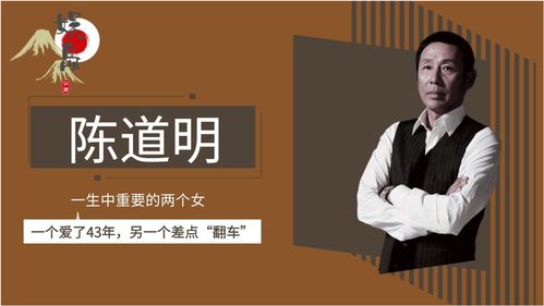 塑料演员演技差竟有天价片酬 除了杨颖,你还知道谁 