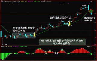 有没有老股民使用一款免费股票软件功能不错的推荐一款？