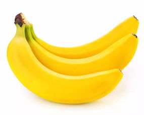 香蕉是热带水果吗,香蕉属金吗