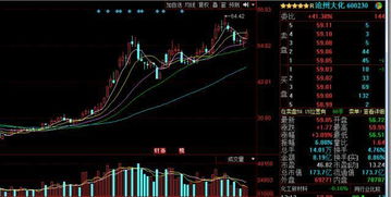 股票中的gainer 和loser什么意思