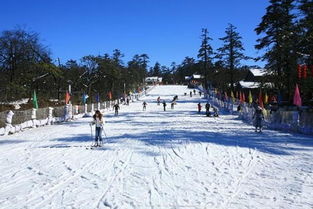 冬游四川怎么玩 雪景 火锅带你奏响 冰与火之歌