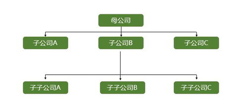 关于成立子公司的股权划分问题