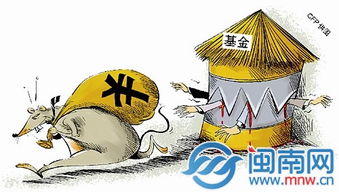 基金公司涉及老鼠仓 他们买的是哪些股票啊？