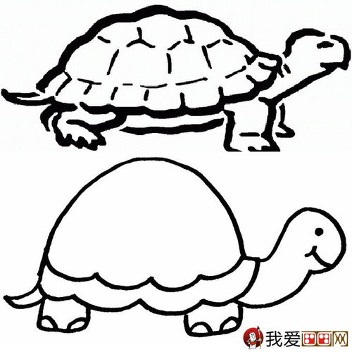 乌龟简笔画图片大全 12个可爱的小乌龟