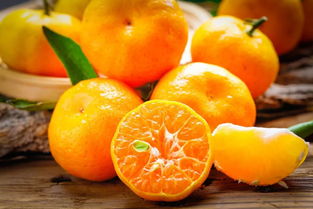 橘子熟了 浙里最甜的橘子都藏在这儿,收好这份采橘攻略,周末就出发
