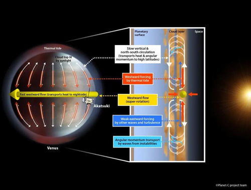 组合盘中天拱金星,太阳拱金星是什么意思行运盘