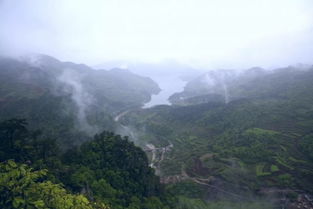 仙居重点景区降价了