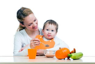 BabyGourmet 给宝宝添加辅食的最佳时间以及其他辅食添加小常识 