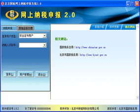 北京国税网上申报系统2.0报表数据怎么下载下来？