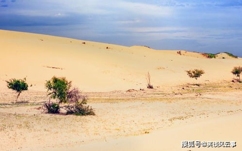 沙漠的沙子挖光了的话,原来的地方是什么样子呢