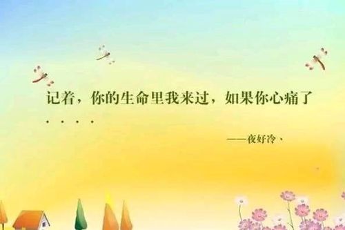 禅意自渡的句子经典