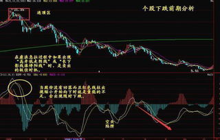 为什么我的股票都卖了。后来在我卖的点上跌了一点，，怎么我的赚的也会跟着少呀？