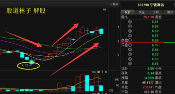 宁波海运 600798后市走势如何?