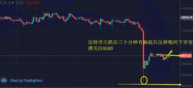 以太币和比特币区别,莱特币与以太币哪个更值得