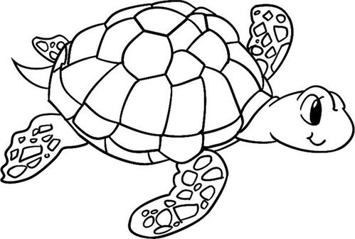 游行的海龟的简笔画怎么画游行的海龟简笔画图片 水彩迷 