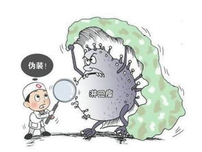 淋巴癌在保险范围内吗 淋巴瘤属于大病保险吗 