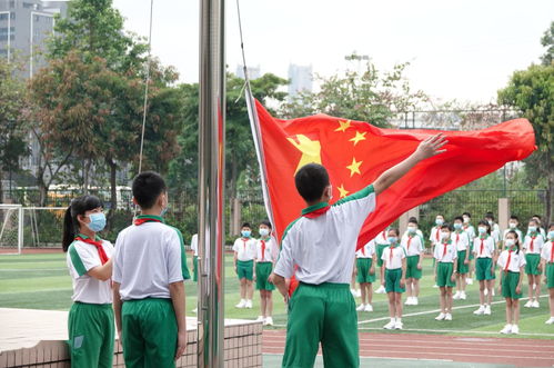 图集 小学鸡 返学啦 学生 昨晚兴奋得睡不着