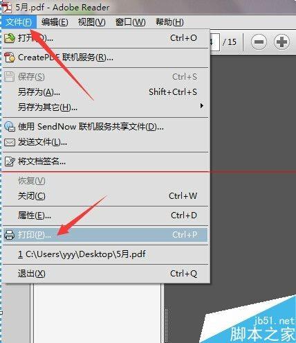 wps pdf格式怎么打印？wps pdf文档怎么打印出来