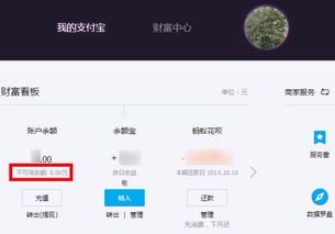 支付宝中的不可用余额是什么意思？怎么退还余额从支付宝到银行