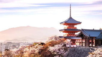 清水寺门票,清水寺门票价格,清水寺门票团购 