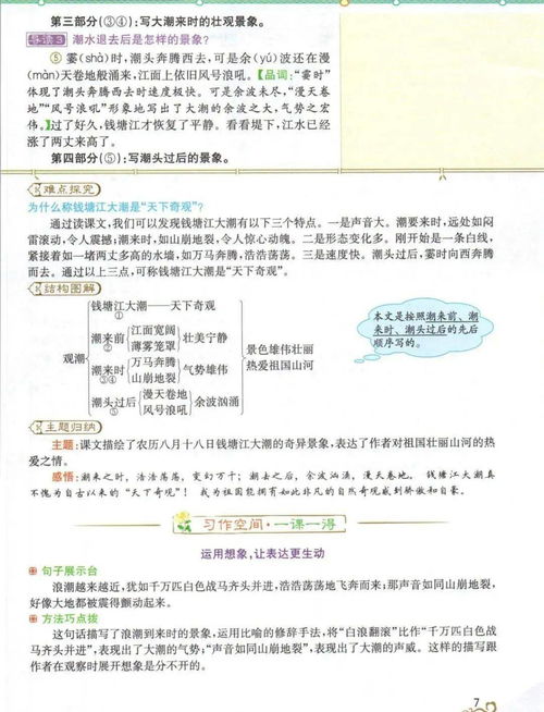 部编版语文1 6年级上册学生用书 含讲解 练习 知识点 丨可下载