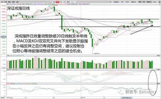 目前小市值高成长股和高股息大蓝筹股票有哪些